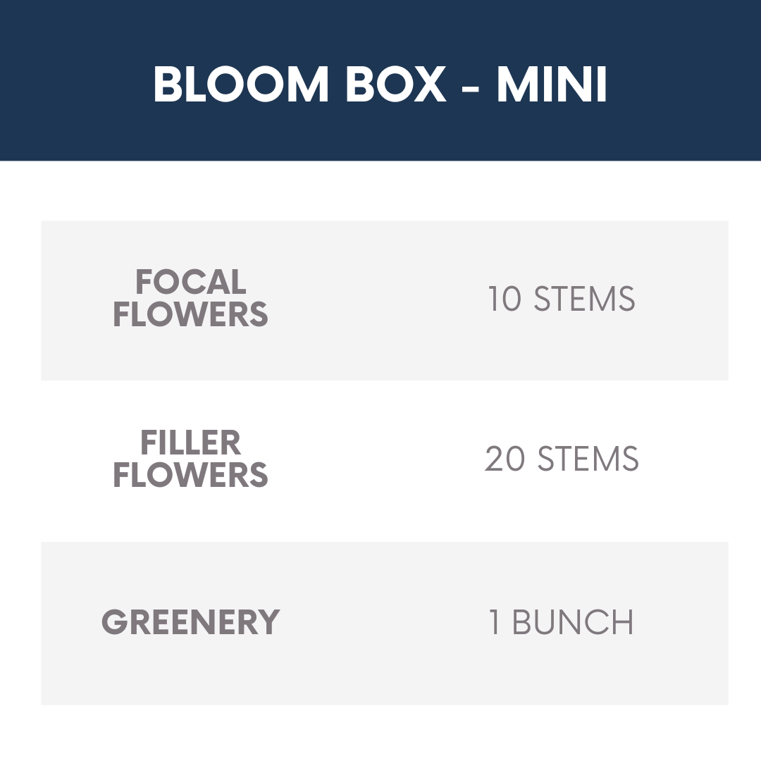 Bloom Box - Mini