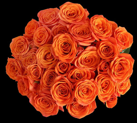 SPRAY ROSE - ORANGE